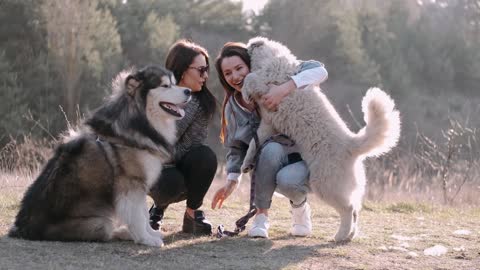 Beautiful girl with dog