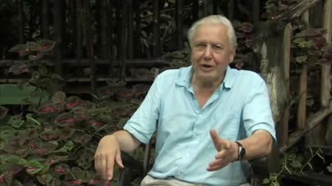 David Attenborough Rare Clips