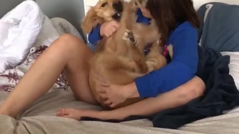 Dog Thinks He's A Baby 🐕🐕 #dog