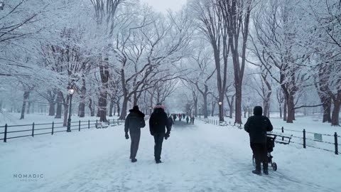 Snowfall in Central Park, New York - Walking in Central Park in the Winter Snow