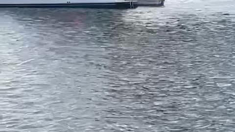 Manatee Pocket boat fire