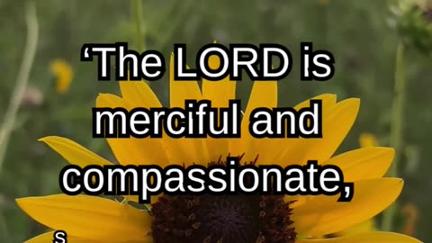 The LORD is merciful and compassionate.