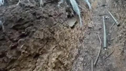 Ukrainian warrior runs around the trench from a Russian FPV drone