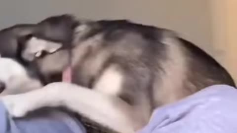 Oh yeah, that's the spot