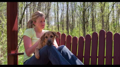 Girl and dog sitting on swinging bench