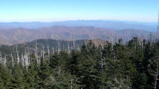 Observation Tower