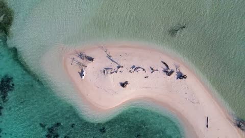 Spearfishing Alone in Mysterious Lagoon