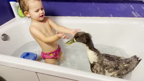 Funny_Baby_Girl_Reaction_to_Duck_in_the_Bathroom