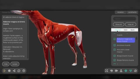 Getting started with the 3D veterinary content - ivalalearn.com