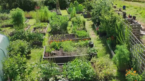 Huw Richards - Quick & Easy Planting Trick For Higher Yields