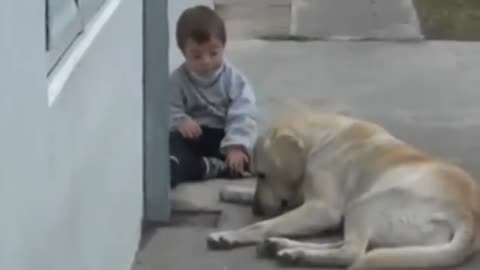 Dog’s Heartwarming Effort to Show Love to Kid Will Melt Your Heart!