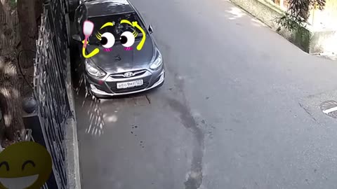 Funny Doodle Car Compilation