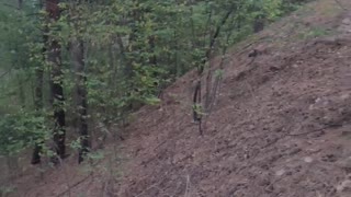 Ukrainian forest in autumn