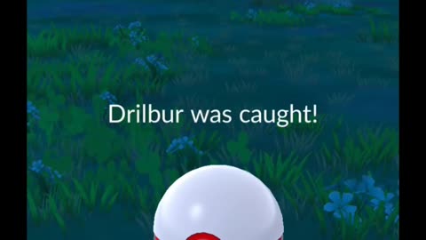 Pokémon GO-Shadow Drilbur