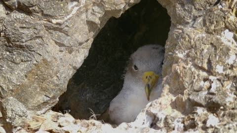 Portugal, una tierra salvaje al borde del mar