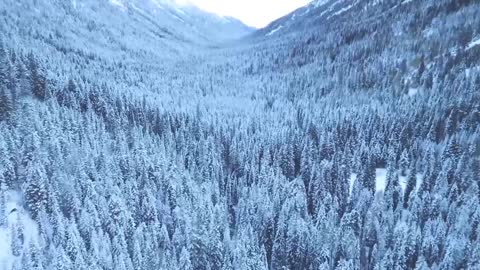 Calm Soothing Piano Music and Winter Landscapes Drone Footage