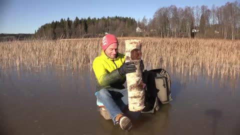 Men Killed By a Log