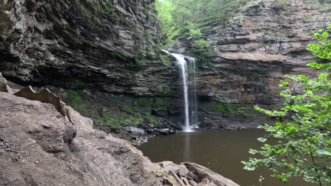 Cedar Falls - 1 Hour HD Waterfall for Relaxation & Focus