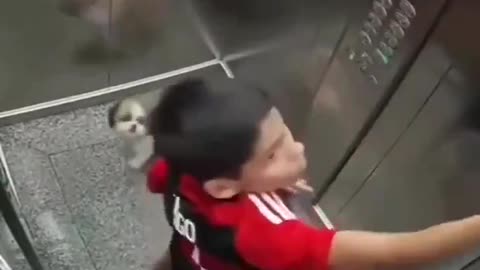 This kid saved his dog after the leash got trapped in the elevator