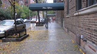 Walking down stairs outside to 88th Street, Manhattan, New York City