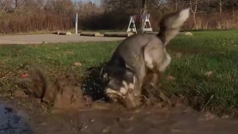 Mud Bath