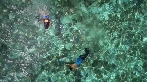 Aerial view of two people snorkeling with turtle in Panagsama Beach, Philippines