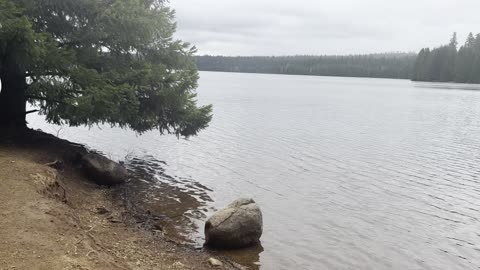 Exploring Pine Point Day Use Area – Timothy Lake – Mount Hood – Oregon – 4K