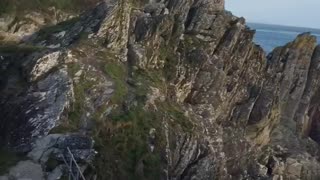 Polperro cliffs with my dogs