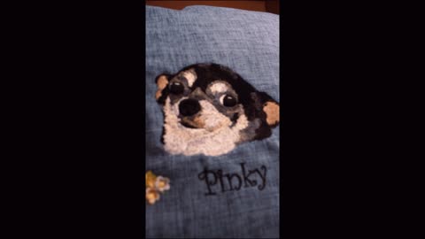 Custom Pet Embroidered Pillow