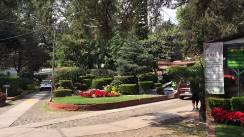 Exploring Centro Coyoacan (CDMX, Mexico, 2020) 2 of 5