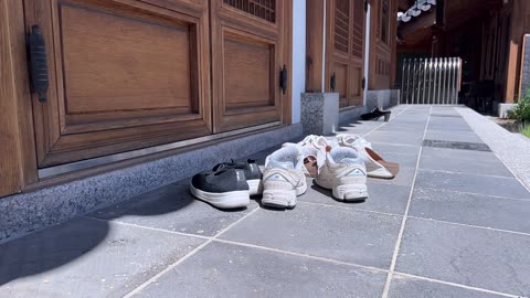 Korean Hanok Village Shoe Inserts