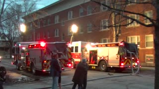 Firefighters Rescue Dog From Burning Building