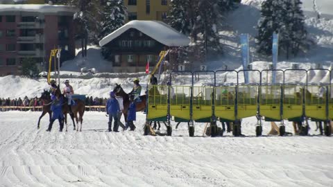 Horses in slow motion at the starting gate before the White Turf