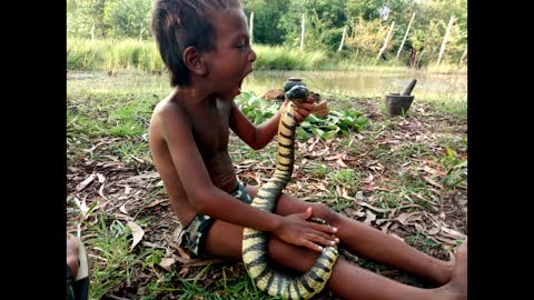 AMAZING KIDS CATCH SNAKE