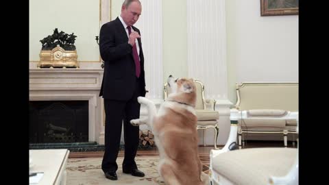 The president of the Russian Federation loves dogs