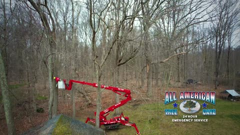 ALL AMERICAN TREE CARE - SPIDER LIFT SIZZLER #1