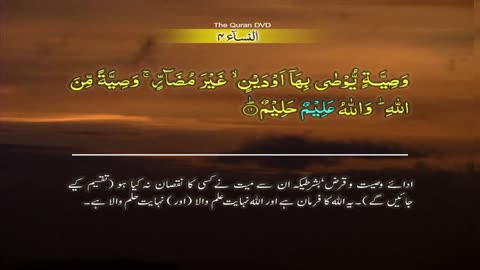 Surah-4 An Nisa Ayat No 11-14 Ruku No 2 Word by word learning Quran in video in 4K