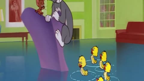 Tom & Jerry / Toom & jerry classic cartoon / Toom & jerry funny cartoon