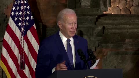 Midterm elections showed strength of U.S. democracy -Biden