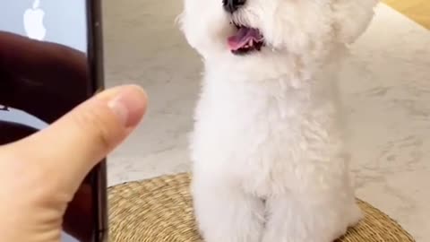 아라영상 음원변경하여 재업ㅠ🐩