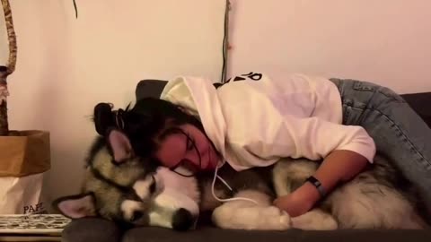 Puppy Love: Heartwarming Video of Dog and Owner Cuddling on Sofa