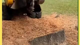 Giant grinder for cutting tree root