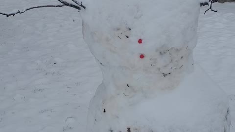 The 1st Snowman I found