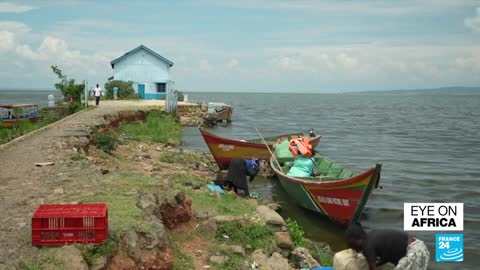 Aids in Kenya: Homabay County, where fish are traded for sex