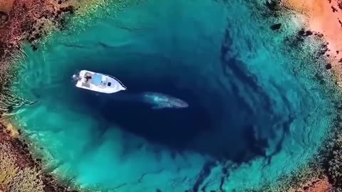 The drone camera shot something that is impossible to believe!