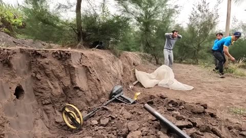 Close-Up Video Catch 100 Dragon Snakes With Bare Hands