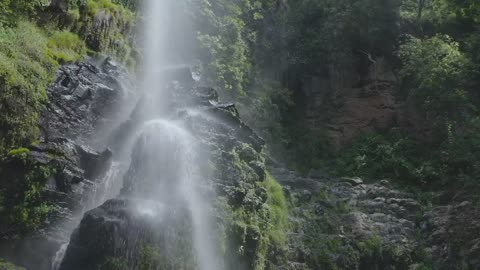 Waterfall in forest