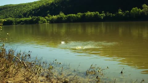 A Pound of Sodium Metal in the River