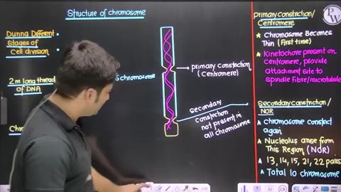 Cell the unit of life (10) botany