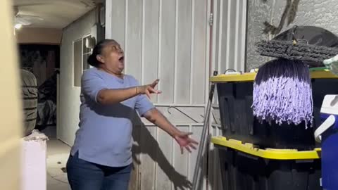 Scaring Mexican mom with GIANT Spider